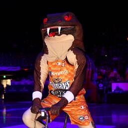 251219-img_0038 null