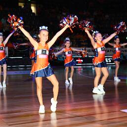 260130-img_0017 null